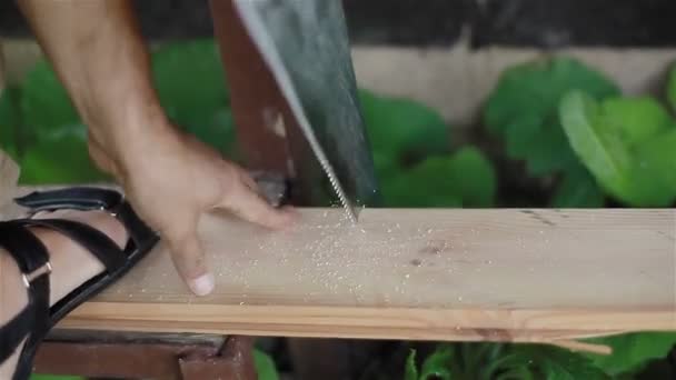 Man sawing wooden board with hand saw. Close-up. 2 shots in a sequence. - Footage, Video