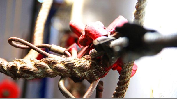 Ship ropes with knot - Photo, Image