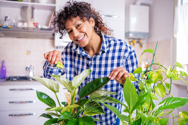 Black woman successful green thumb taking care of home plants - Photo, Image