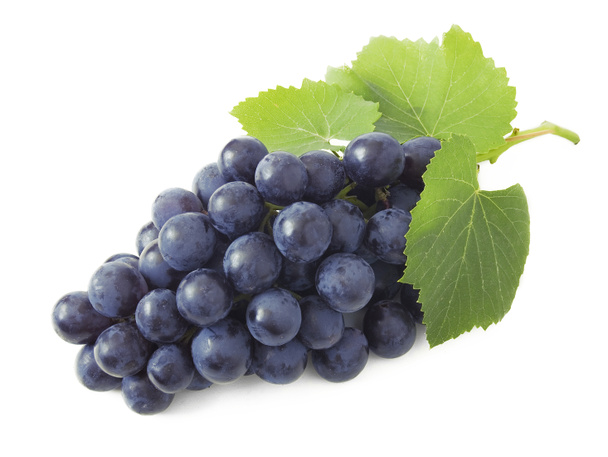 Rama de uvas aislada sobre fondo blanco
 - Foto, imagen