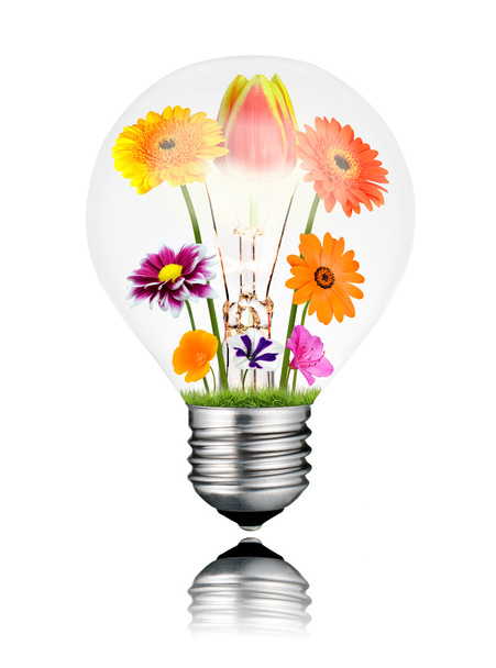 Various Colorful Flowers Growing Inside Light Bulb Isolated - Foto, Bild