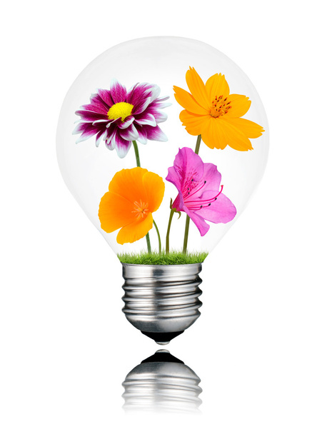 Various Colorful Flowers Growing Inside Light Bulb Isolated - Foto, afbeelding