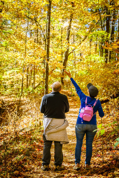 Senior couple is hiking in the woods in North Carolina in fall - Zdjęcie, obraz