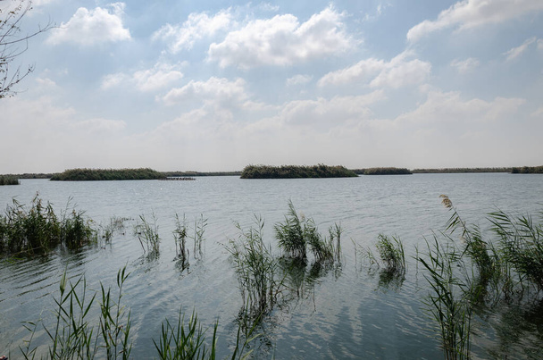 Al Karaana Lagoon, a stopover for Migratory Birds in Qatar - Photo, Image