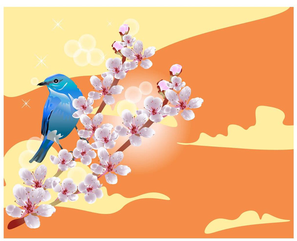 The mountain bluebird is a small migratory thrush is sitting on the blooming cherry. - Vektor, Bild