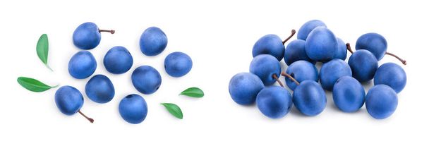 Blackthorn or Sloe berries with leaves isolated on white background. Prunus spinosa. Top view. Flat lay. - Photo, Image