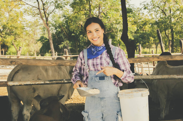 Ασιάτισσες αγρότισσες φροντίζουν να ταΐσουν τις αγελάδες με ισορροπημένα συμπληρώματα διατροφής, γρήγοροι ρυθμοί ανάπτυξης για την κτηνοτροφική τους μονάδα βοδινού κρέατος Brahman τρώνε με χαμόγελο. Φροντίζουν τις αγελάδες στις αγροτικές φάρμες της Ταϊλάνδης.. - Φωτογραφία, εικόνα