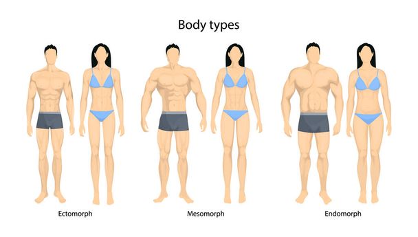 Human body types. Men and women as endomorph, ectomorph and mesomorph. - Vektor, kép
