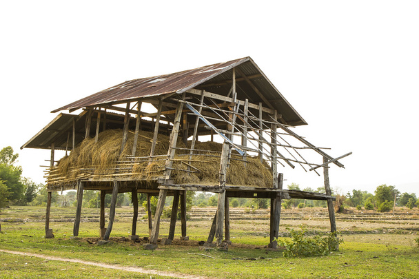 baracca per immagazzinamento di paglia di riso
. - Foto, immagini
