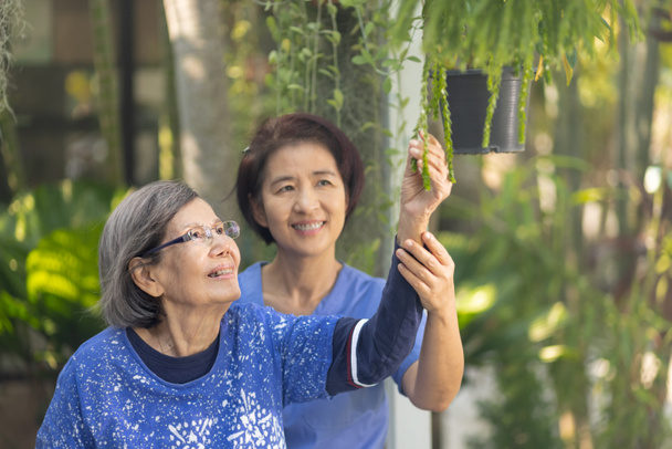 Gardening therapy in dementia treatment on elderly woman. - Fotoğraf, Görsel