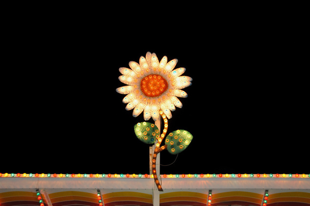 elektrische bloem knipperende lichten - Foto, afbeelding