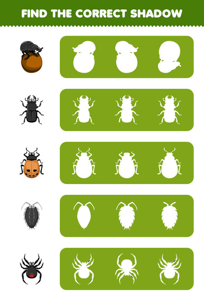 Education game for children find the correct shadow silhouette of cute cartoon beetle ladybug louse spider printable bug worksheet - Vector, afbeelding