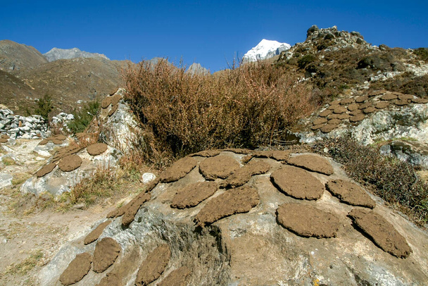 Bostas de Yak. cerca de Milingo.Sagarmatha National Park, Khumbu Himal, Nepal, Asia. - Foto, Bild