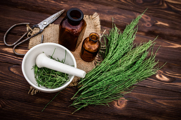 Apothecary mortar with dry medicinal herbs horse tail. Equisetum, horsetail, snake grass, oil for cosmetology. puzzlegrass, candock extract for alternative medicine used diuretic for edema. - Foto, Bild
