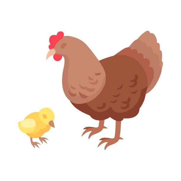 Isometric hen with chick isolated on white background vector illustration - Vetor, Imagem
