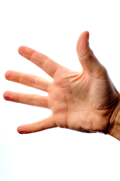Close-up of a man's hand with all five fingers extended isolated on a white background. - Photo, Image