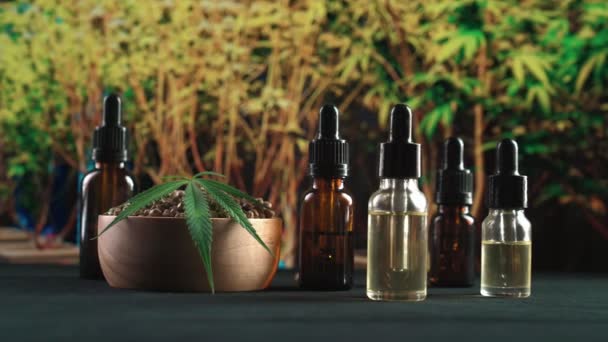 Legaliseerde marihuana producten van cannabisplant, hennepblad. CBD olie fles van verschillende grootte, houten kom hennepzaad met een hennepblad op tafel met cannabis plant achtergrond voor copyspace. - Video