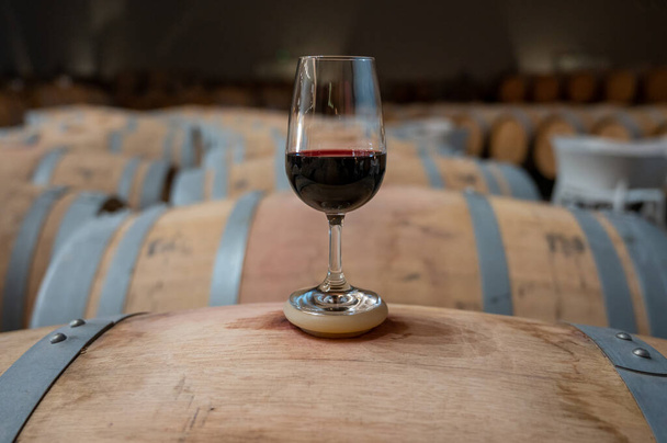 Tasting of variety of rioja wines, visit of winery cellars with french or american oak barrels with agening red wine, Rioja wine making region, Spain - Fotó, kép