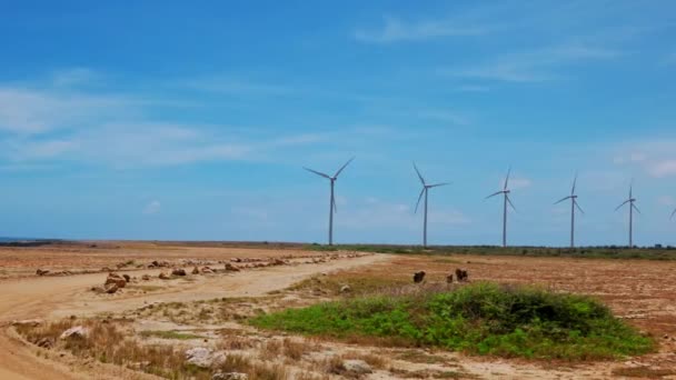 Close up view of wind turbines in desert, on Caribbean coast against blue sky. Aruba island. - Felvétel, videó