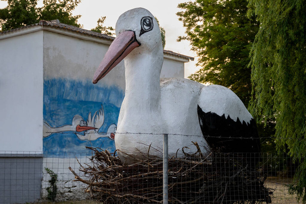European White stork Ciconia Ciconia is the symbol of bird migration. - Foto, afbeelding