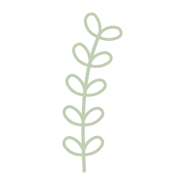 Dekoratif yaprak bitkisi düz. Vektör illüstrasyonu - Vektör, Görsel