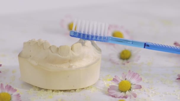 Zubní sádru a modrý kartáček na zuby. Closeup - Záběry, video