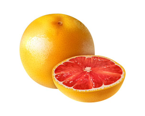 Realistic fresh whole and cut grapefruit vector illustration - Vettoriali, immagini
