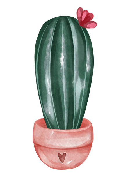 Beautiful hand drawn watercolor cactus illustration - Photo, Image