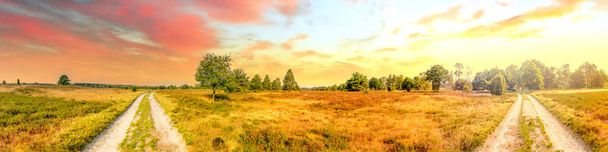 Lueneburg Heide, Landscape, Germany  - Photo, Image