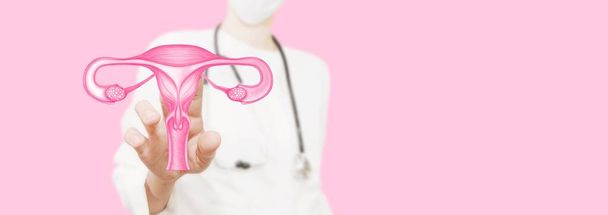 Жінка-лікар має 3D репродуктивну систему. Медичний персонал на рожевому фоні з блиском і світлом. Банер для реклами охорони здоров'я жінок. Профілактика шийки та яєчників
 - Фото, зображення