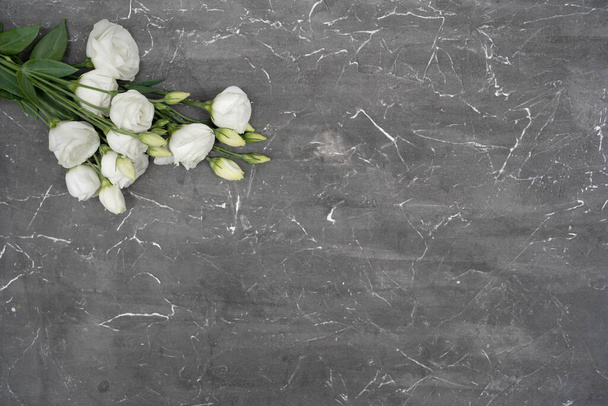 White eustoma flower on gray stone background, copy space. 8 march concept. - Photo, image