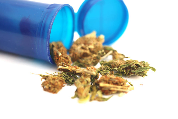 Marijuana. Cannabis. Medical Marijuana. Marijuana Fresh Buds in container isolated on white  - Fotografie, Obrázek