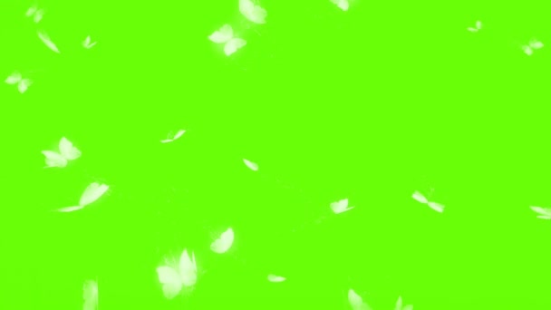 Группа бабочек, летающих над зеленым экраном Фон 4k анимационный инвентарь. - Кадры, видео