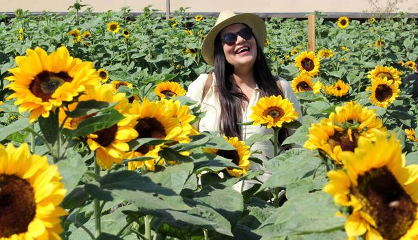 Latin adult woman with sunglasses walks through a field of sunflowers forgets her problems full of happiness in fullness, with tranquility, relaxation, calm, peace and splendor - Foto, afbeelding