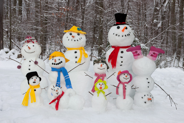 sneeuwpop familie - Foto, afbeelding