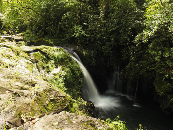 waterfall in a forest of costa rica - Photo, Image