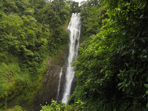 waterfall in a forest of costa rica - Photo, Image