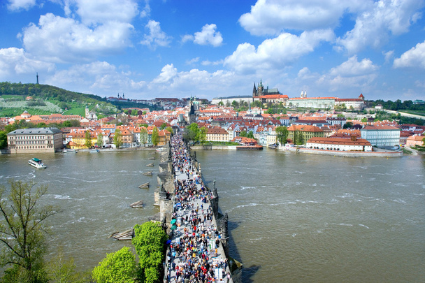 Charles bridge, Prague castle  (UNESCO), Czech republic - 写真・画像