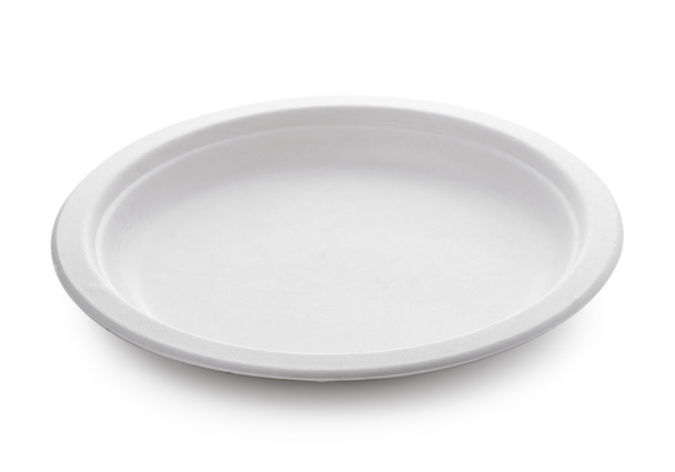 piatto di carta bianca isolato su sfondo bianco - Foto, immagini