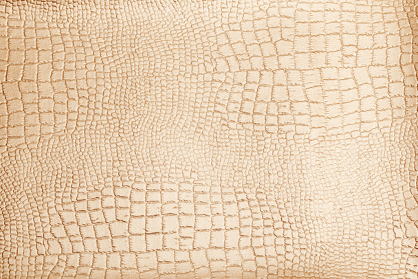 Texture cuir fond surface - Photo, image