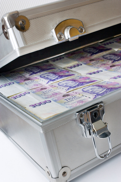 Czech money - banknotes in a case - Фото, зображення