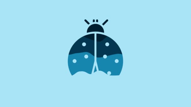 Blue Ladybug icon isolated on blue background. 4K Video motion graphic animation. - Video