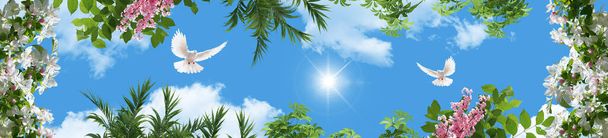Панорамний вид на листя зеленого дерева, квіти, голуби і весняні гілки в сонячному небі
. - Фото, зображення