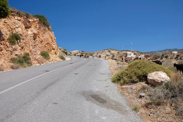 A lonely road in Ios cyclades Greece - Фото, зображення