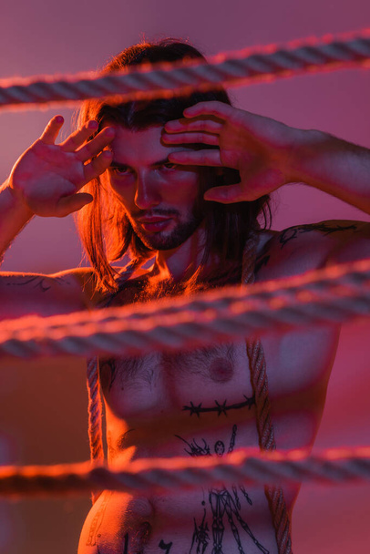 Long haired and tattooed man posing near ropes on purple background with light  - Φωτογραφία, εικόνα