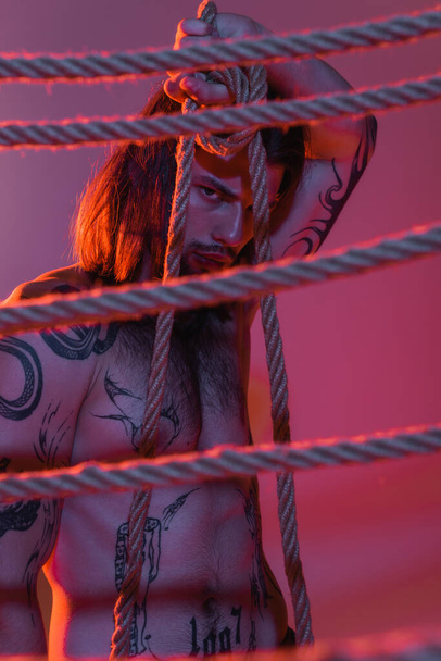 Sexy tattooed model posing with ropes on purple background with light  - Fotografie, Obrázek