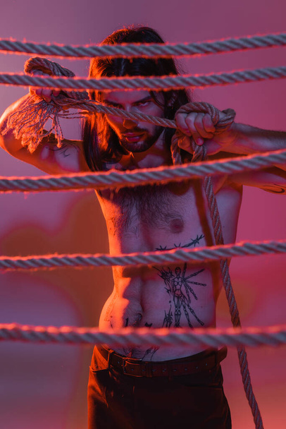 М'язистий і татуйований чоловік тримає камеру, тримаючи мотузку на фіолетовому фоні зі світлом
  - Фото, зображення