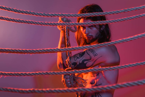 Tattooed model holding rope and looking at camera on purple background with light  - Foto, Imagen