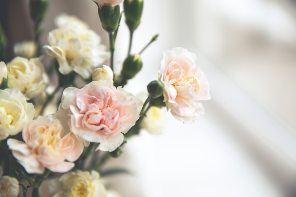 delicate bouquet of carnations in vintage style - Foto, Bild