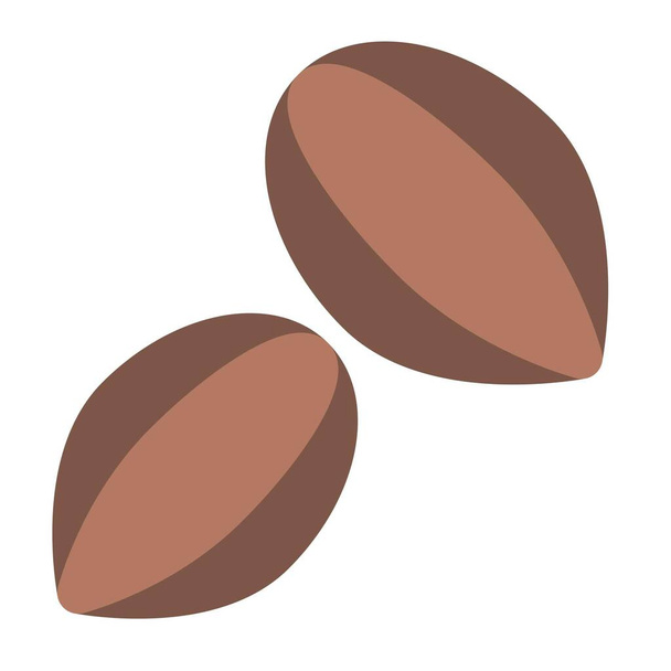 Dried fermented seeds for preparing cocoa powder - Vector, imagen
